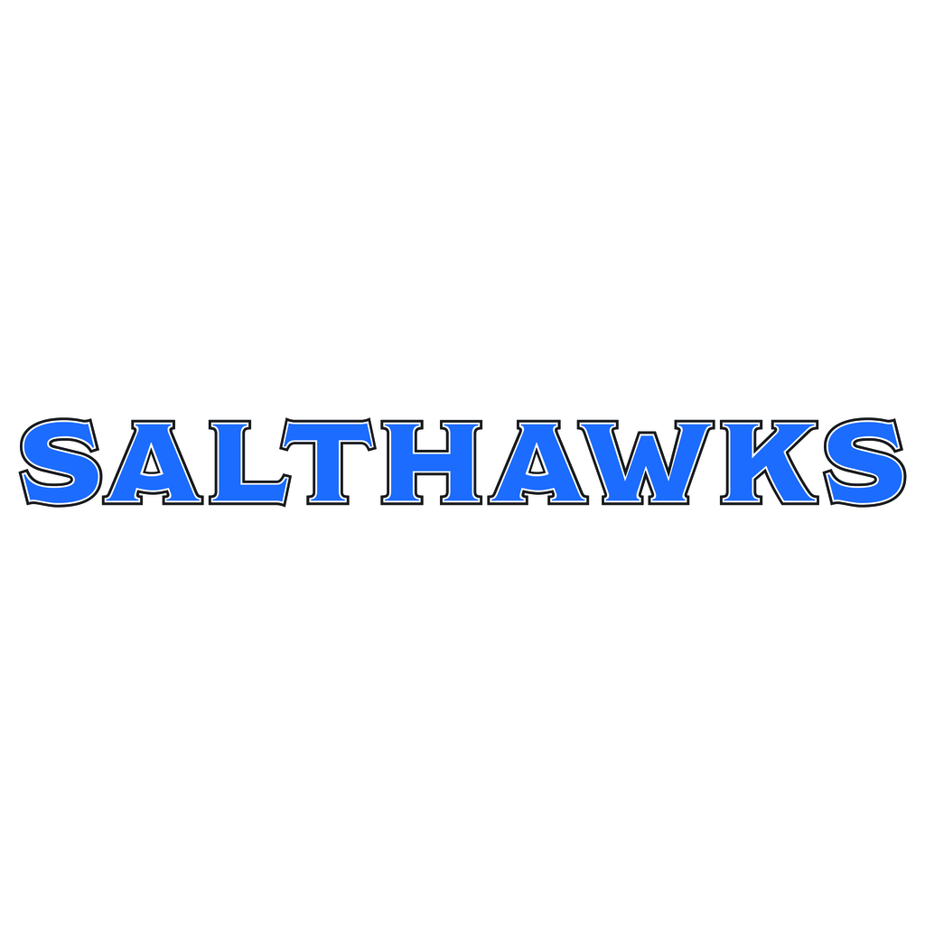 Salthawk logo