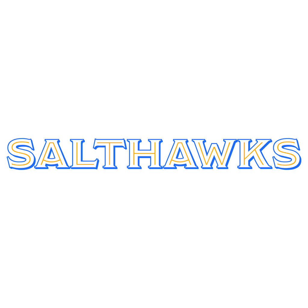 Salthawk logo