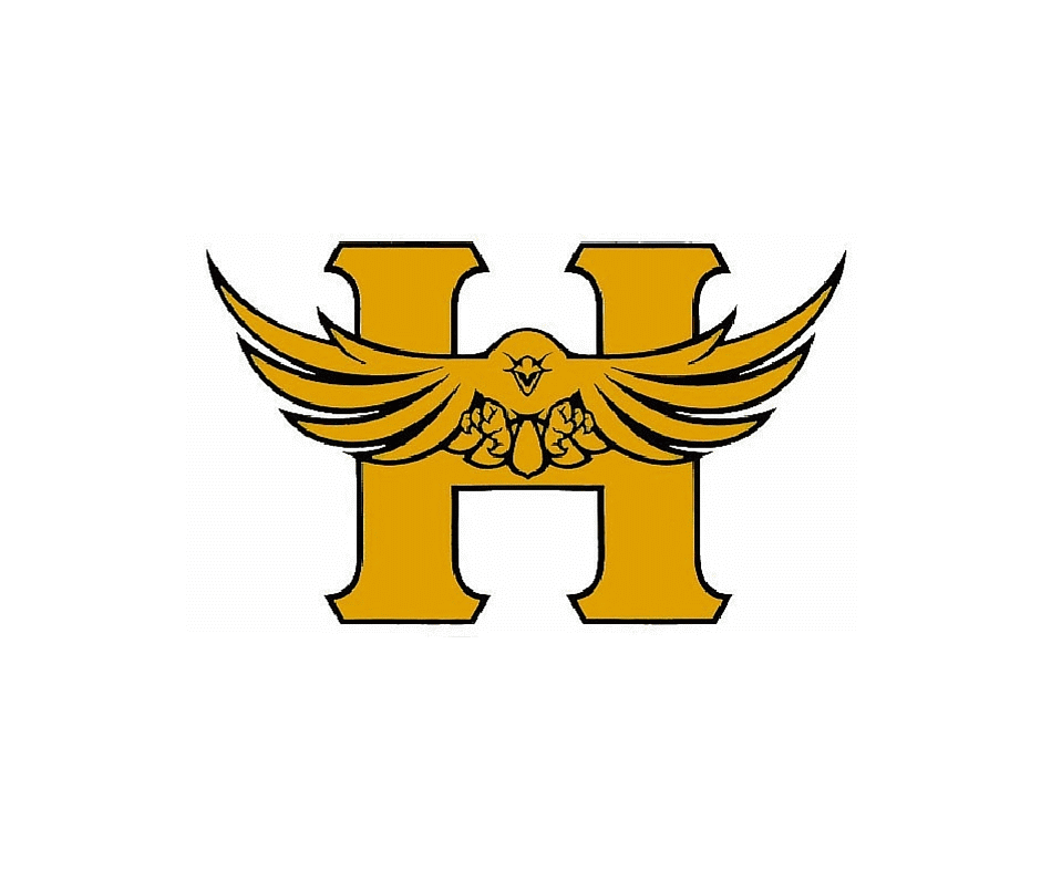Salthawk logo