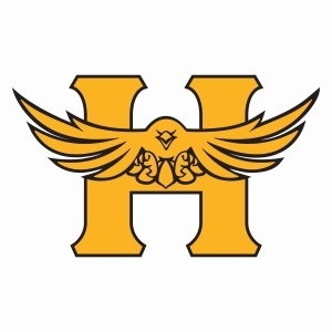 Salthawk logo